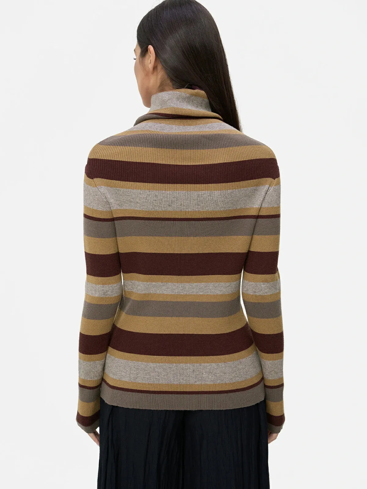 Contrast Stripe Turtleneck Knit Top