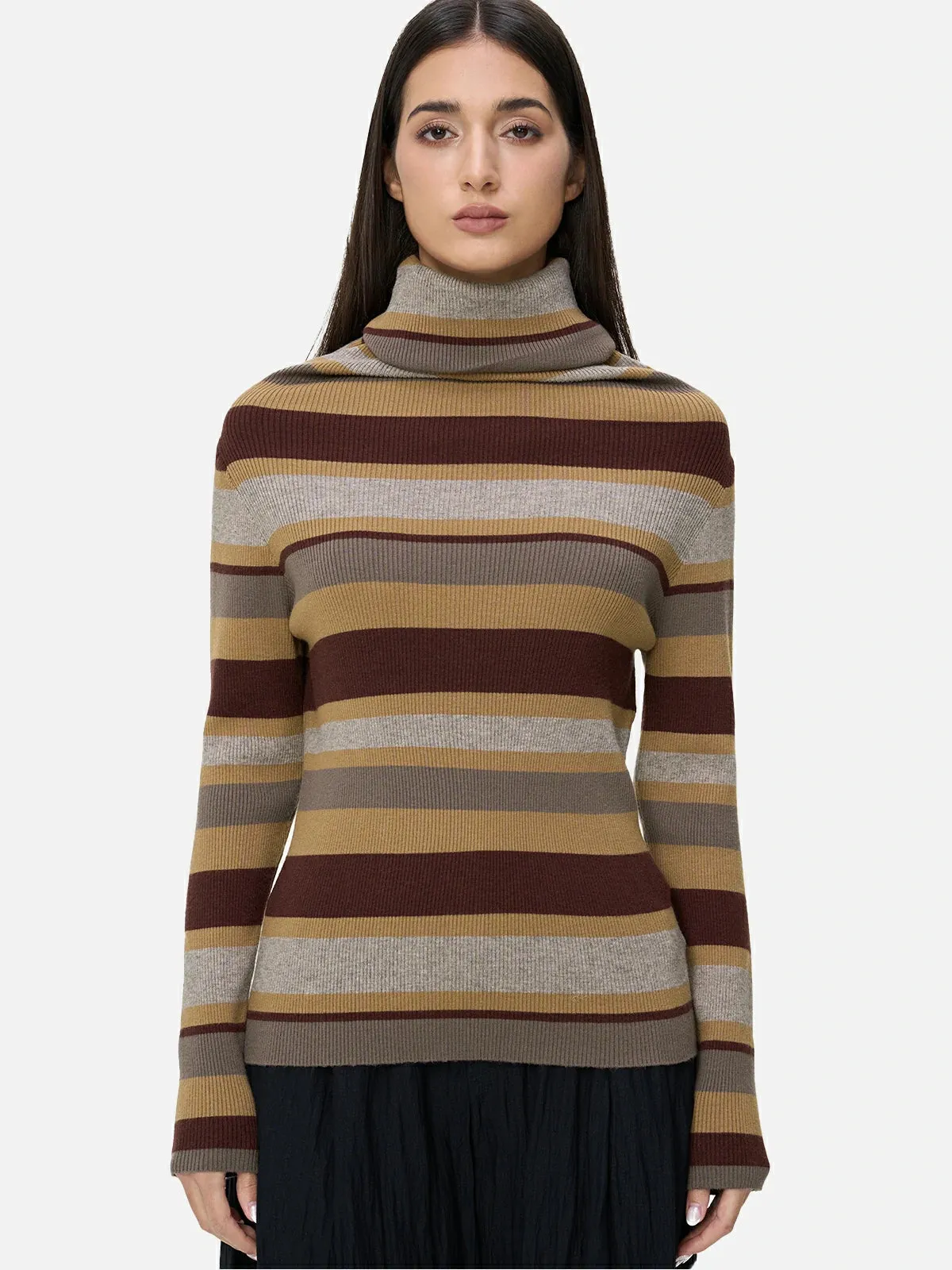 Contrast Stripe Turtleneck Knit Top
