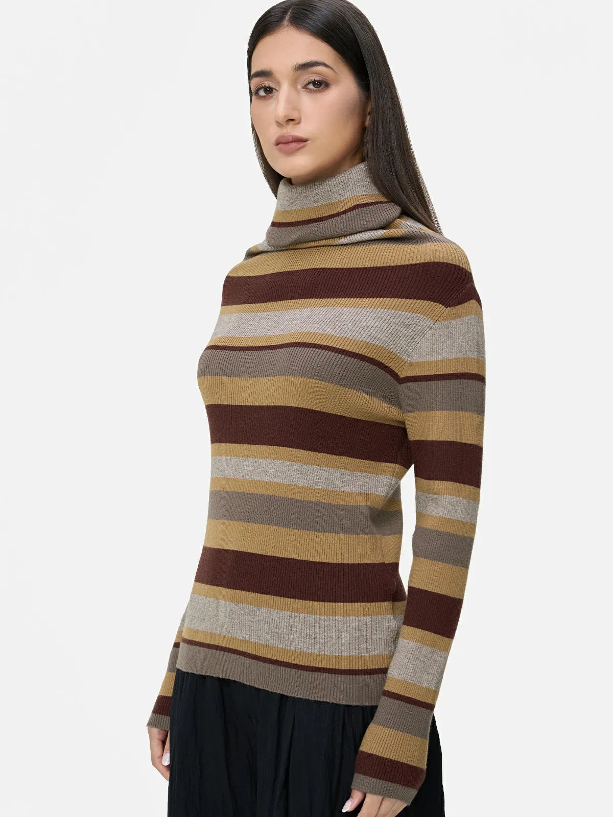 Contrast Stripe Turtleneck Knit Top
