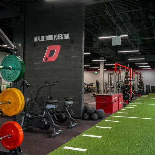 Depth Training Package - $500 Value