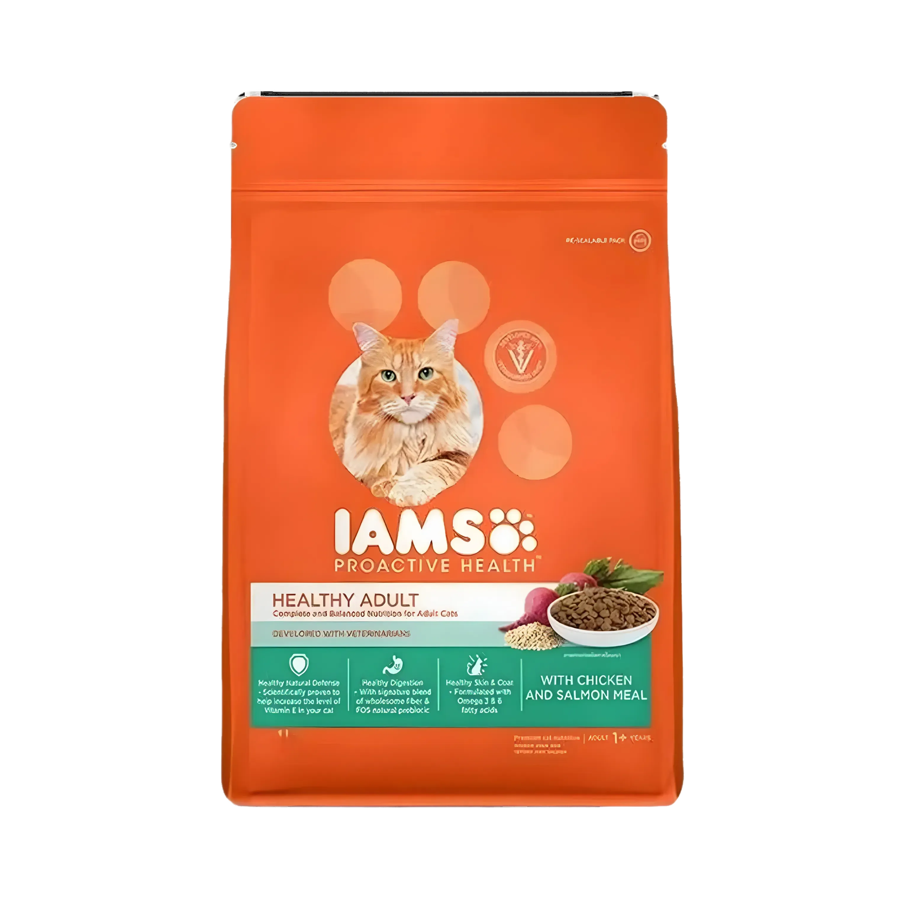 IAMS CAT CHIC & SALMON DRY FOOD (XL)